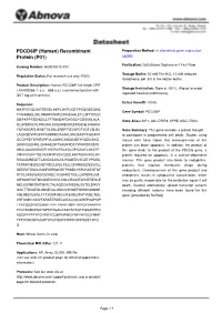 PDCD6IP (Human) Recombinant Protein (P01)