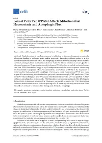 (PPAN) Affects Mitochondrial Homeostasis and Autophagic Flux