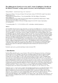 The Sibling Species Leptidea Juvernica and L. Sinapis (Lepidoptera, Pieridae) in the Balkan Peninsula: Ecology, Genetic Structure, and Morphological Variation