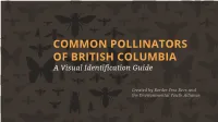 Common Pollinators of British Columbia – a Visual Identification