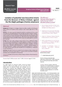 Isolation of Potential New Biocontrol Strains from the Blossom of Malus