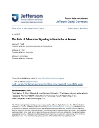 The Role of Adenosine Signaling in Headache: a Review