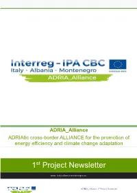 1 Project Newsletter