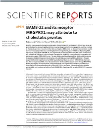 BAM8-22 and Its Receptor MRGPRX1 May Attribute to Cholestatic Pruritus