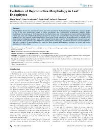 Evolution of Reproductive Morphology in Leaf Endophytes