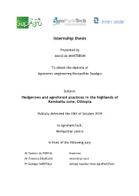 Internship Thesis