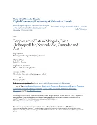 Ectoparasites of Bats in Mongolia, Part 2 (Ischnopsyllidae, Nycteribiidae, Cimicidae and Acari) Ingo Scheffler University of Potsdam, Ingo.Scheffler@Uni-Potsdam.De