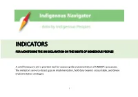 Indicators for Monitoring the Un Declaration on the Rights of Indigenous Peoples