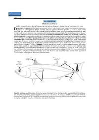 Scombridae.Pdf