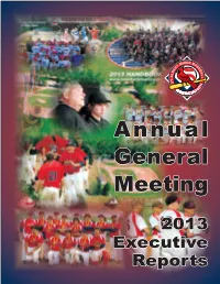 2013 Executive Reports