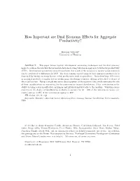 How Important Are Dual Economy Effects for Aggregate Productivity?