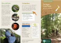 Te Maire Loop Track