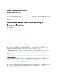 Biochemical Mechanism of RNA Interference in Higher Organisms: a Dissertation