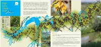 High Line Canal Trailmap