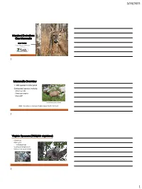 MD Mammals 2021 Envirothon 3 Slides Per Page
