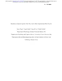 Boundaries in Spatial Cognition: How They Look Is More Important Than What They Do
