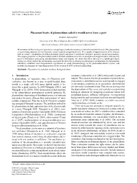 Physarum Boats: If Plasmodium Sailed It Would Never Leave a Port