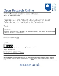 Regulation of the Actin Binding Activity of Basic Calponin and Its Implication in Cytokinesis