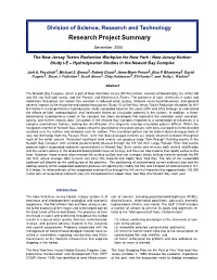 Research Project Summary