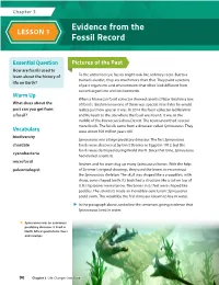 Evidence from the Fossil Record