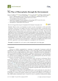 The Way of Macroplastic Through the Environment