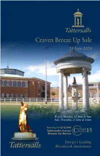 Craven Breeze up Sale 2020