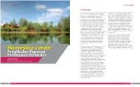Homestay Lonek