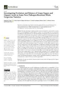 Investigating Evolution and Balance of Grape Sugars and Organic Acids in Some New Pathogen-Resistant White Grapevine Varieties