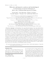 Molecular Phylogenetic Analyses and Morphological Re-Examination of Strains Belonging to Three Rare Colletotrichum Species in Japan