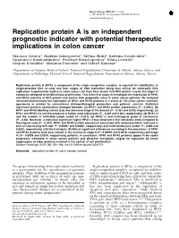 Replication Protein a Is an Independent Prognostic Indicator with Potential Therapeutic Implications in Colon Cancer