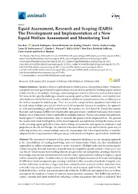 The Development and Implementation of a New Equid Welfare Assessment and Monitoring Tool
