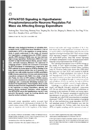 ATF4/ATG5 Signaling in Hypothalamic Proopiomelanocortin Neurons Regulates Fat Mass Via Affecting Energy Expenditure