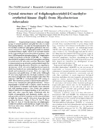 From Mycobacterium Tuberculosis