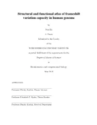 Structural and Functional Atlas of Frameshift Variation Capacity in Human Genome