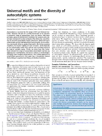 Universal Motifs and the Diversity of Autocatalytic Systems