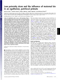 Low Paternity Skew and the Influence of Maternal Kin in an Egalitarian