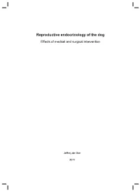 Reproductive Endocrinology of the Dog