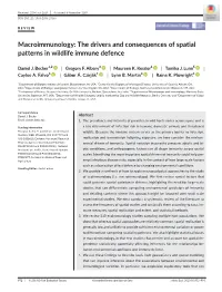 The Drivers and Consequences of Spatial Patterns in Wildlife Immune Defence