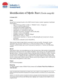 Identification of Myrtle Rust (Uredo Rangelii)