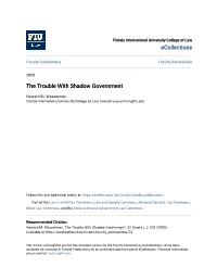 The Trouble with Shadow Government