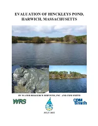 Final Evaluation of Hinckley's Pond