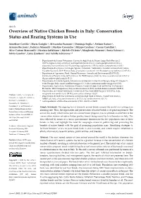 Overview of Native Chicken Breeds in Italy: Conservation Status and Rearing Systems in Use
