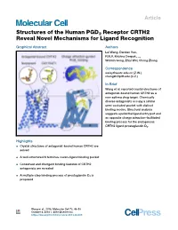 Structures of the Human PGD2 Receptor CRTH2 Reveal Novel Mechanisms for Ligand Recognition