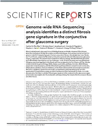 Genome-Wide RNA-Sequencing Analysis Identifies a Distinct