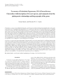 Taxonomy of Proboloduseigenmann, 1911 (Characiformes: Characidae) with Description of Two New Species, and Comments About the Ph