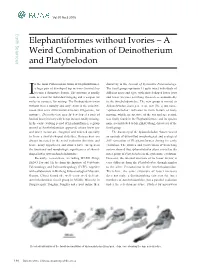 A Weird Combination of Deinotherium and Platybelodon