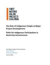 Paths for Indigenous Participation in Electricity Infrastructure