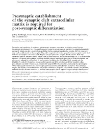 Presynaptic Establishment of the Synaptic Cleft Extracellular Matrix Is Required for Post-Synaptic Differentiation