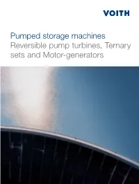 Reversible Pump Turbines, Ternary Sets and Motor-Generators 1