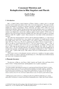 Consonant Mutation and Reduplication in Blin Singulars and Plurals